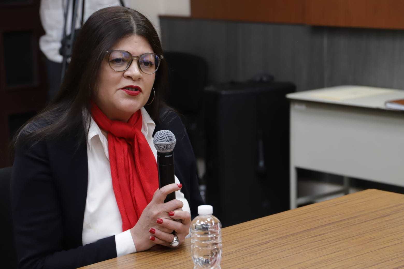 Audiencias Públicas: Unidad de Política Limpia